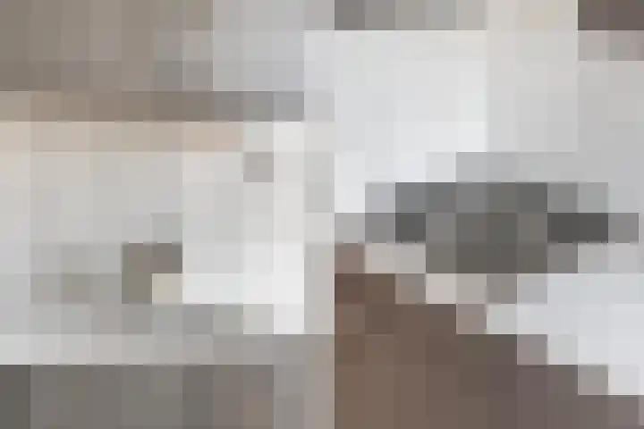 Piet Heinstraat 89 B Den Haag thumbnail 12