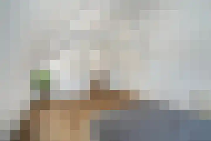 Piet Heinstraat 89 B Den Haag thumbnail 20