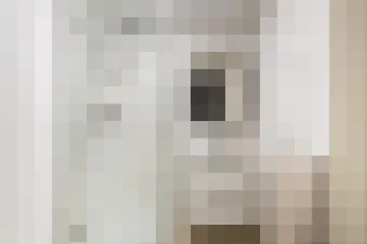 Piet Heinstraat 89 B Den Haag thumbnail 21