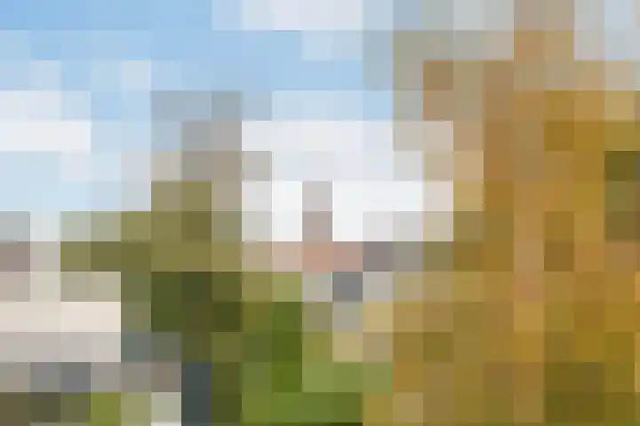 Piet Heinstraat 89 B Den Haag thumbnail 27