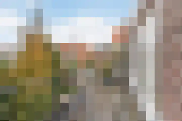 Piet Heinstraat 89 B Den Haag thumbnail 4