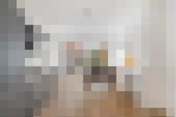 Piet Heinstraat 89 B Den Haag thumbnail 9