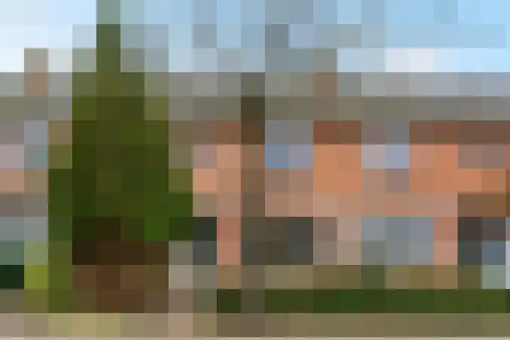 Piet Heinstraat 9 De Meern