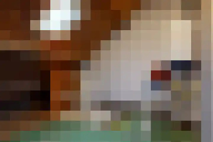 Piet Heinstraat 9 De Meern thumbnail 22