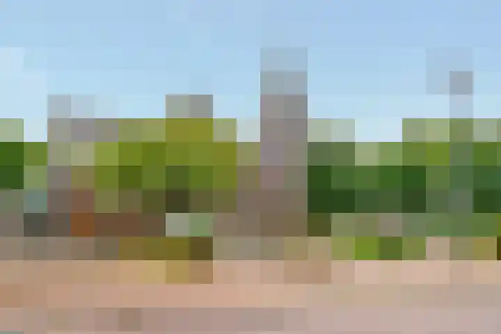 Piet Heinstraat 9 De Meern thumbnail 27