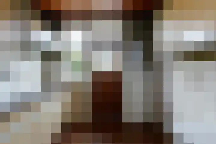 Piet Heinstraat 9 De Meern thumbnail 6