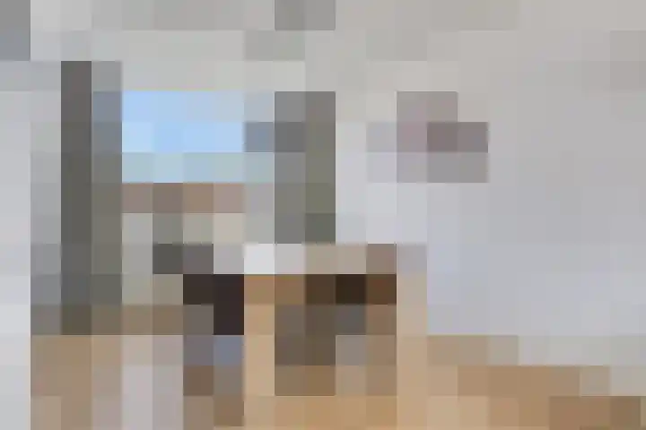 Piet Heinstraat 9 Kloosterzande thumbnail 11