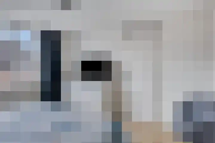 Piet Heinstraat 9 Kloosterzande thumbnail 18
