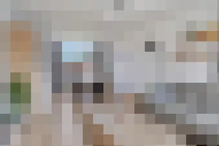 Piet Heinstraat 9 Kloosterzande foto 3