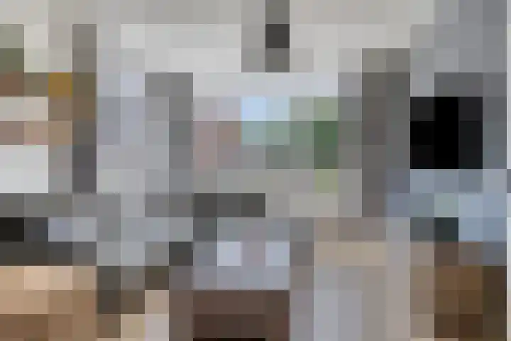 Piet Heinstraat 9 Kloosterzande thumbnail 9