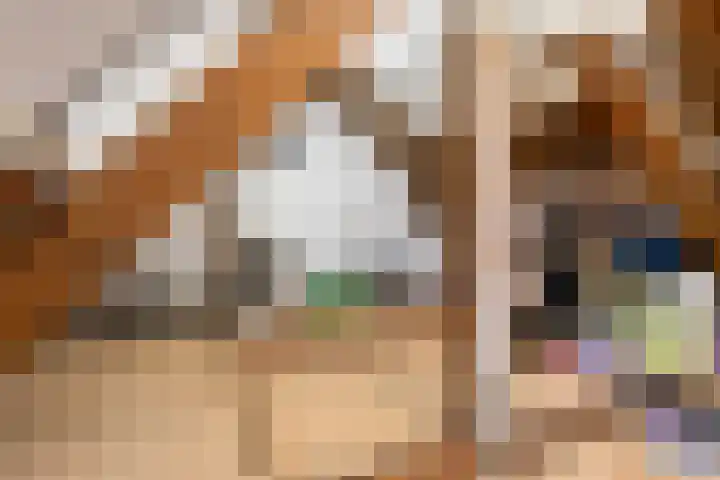 Piet Heinstraat 9 Leiden thumbnail 19