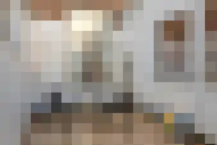 Piet Heinstraat 9 Leiden thumbnail 20