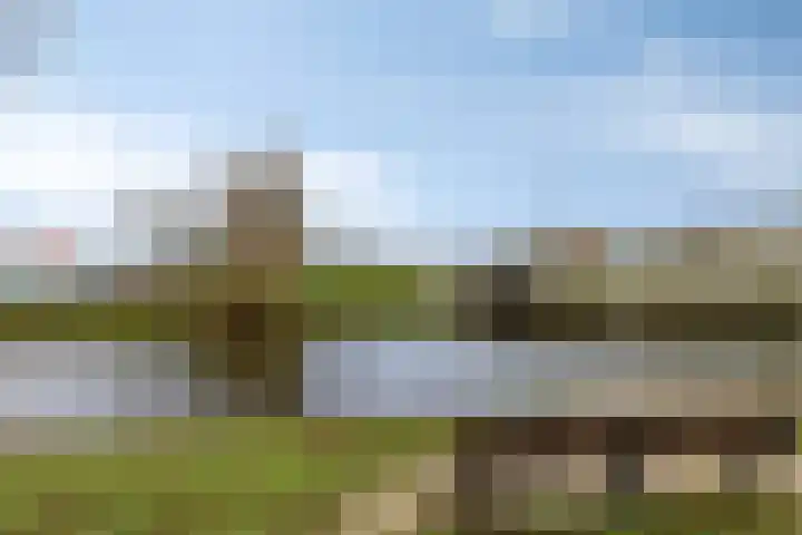 Piet Heinstraat 9 Leiden thumbnail 22