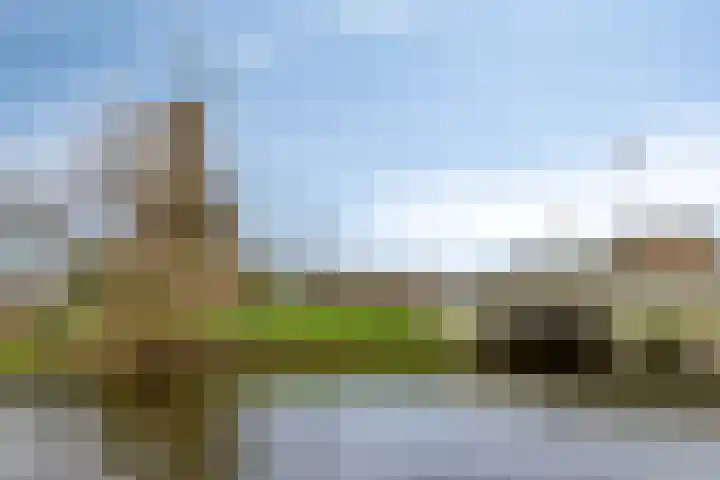 Piet Heinstraat 9 Leiden thumbnail 23