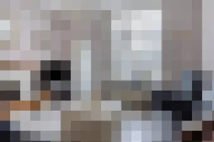 Piet Heinstraat 9 Leiden thumbnail 4