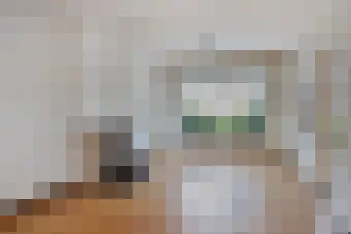 Piet Heinstraat 9 Oirschot thumbnail 10