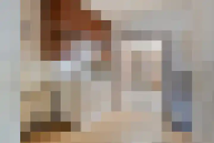 Piet Heinstraat 9 Oirschot thumbnail 13