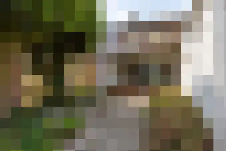 Piet Heinstraat 9 Oirschot thumbnail 23