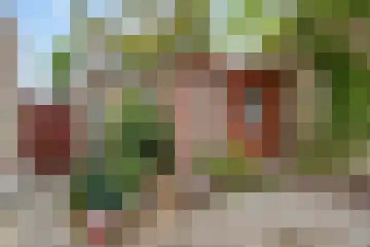 Piet Heinstraat 9 Oirschot thumbnail 25