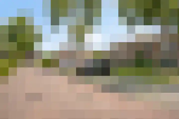Piet Heinstraat 9 Oirschot thumbnail 27