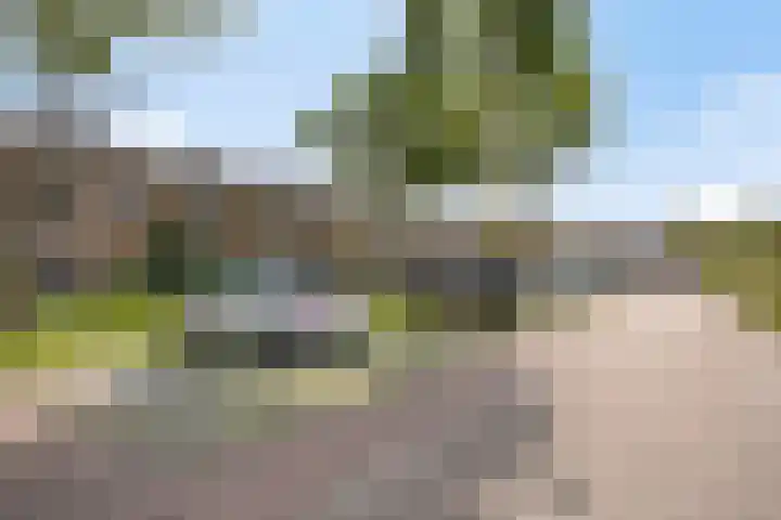 Piet Heinstraat 9 Oirschot thumbnail 28