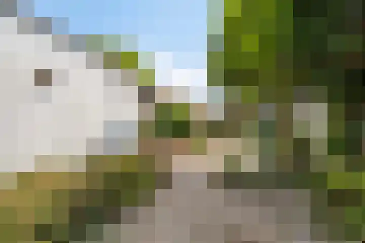 Piet Heinstraat 9 Oirschot thumbnail 4