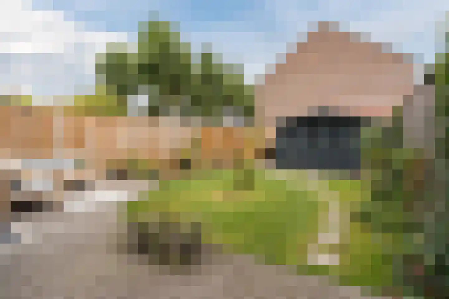 Piet Heinstraat 9 Waalre thumbnail 5