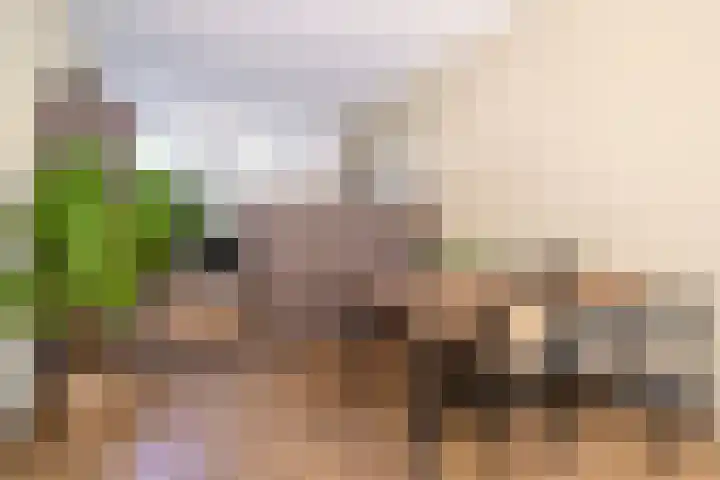 Piet Heinstraat 91 Groningen thumbnail 14