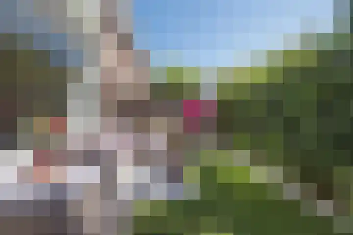 Piet Heinstraat 91 Groningen thumbnail 20