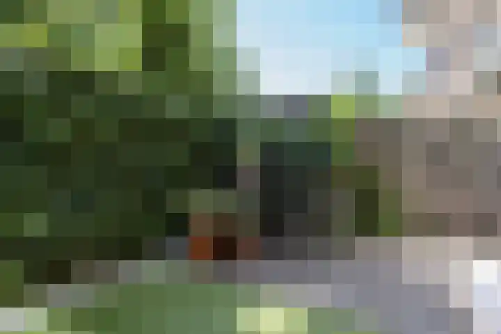 Piet Heinstraat 91 Groningen thumbnail 22