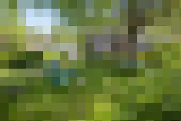 Piet Heinstraat 91 Groningen thumbnail 23