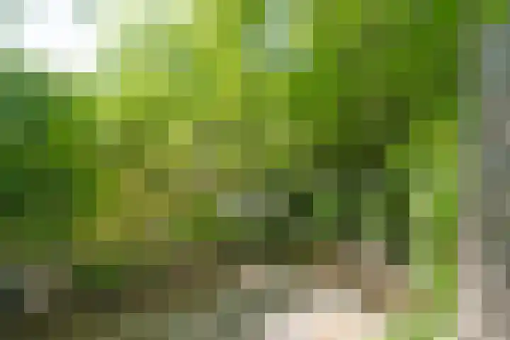 Piet Heinstraat 91 Groningen thumbnail 24