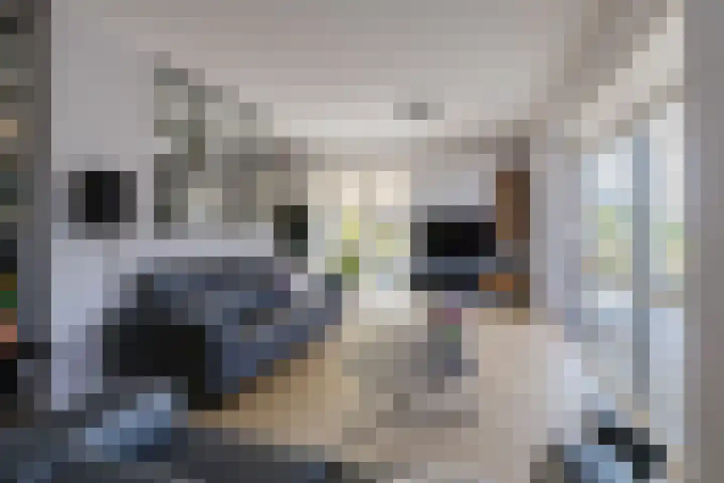 Piet Heinstraat 95 Lisse thumbnail 22