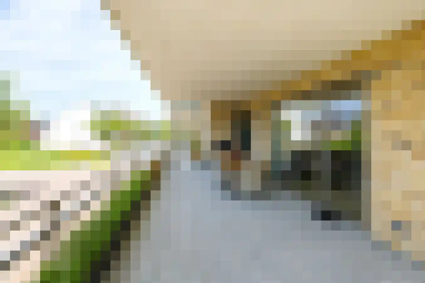 Piet Heinstraat 95 Lisse thumbnail 30