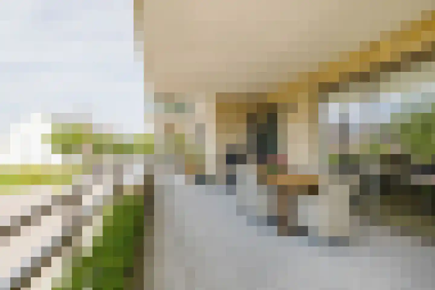 Piet Heinstraat 95 Lisse thumbnail 31