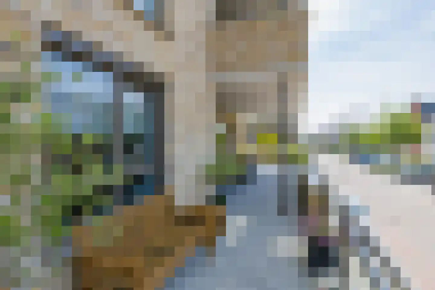 Piet Heinstraat 95 Lisse thumbnail 34