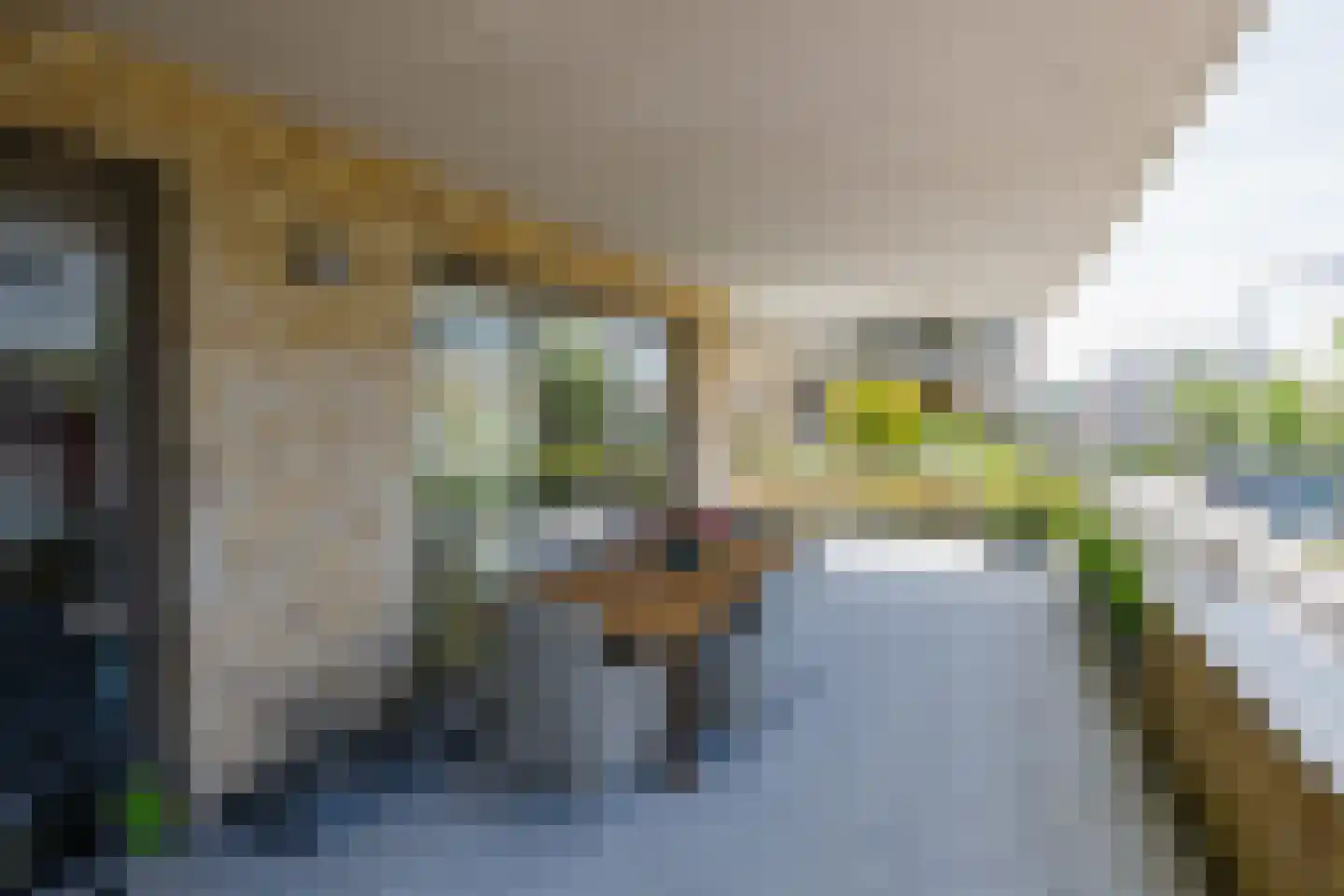 Piet Heinstraat 95 Lisse thumbnail 35