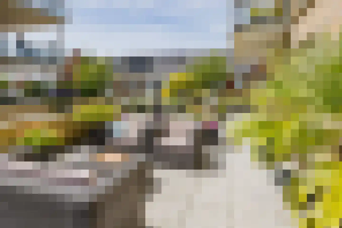 Piet Heinstraat 95 Lisse thumbnail 39