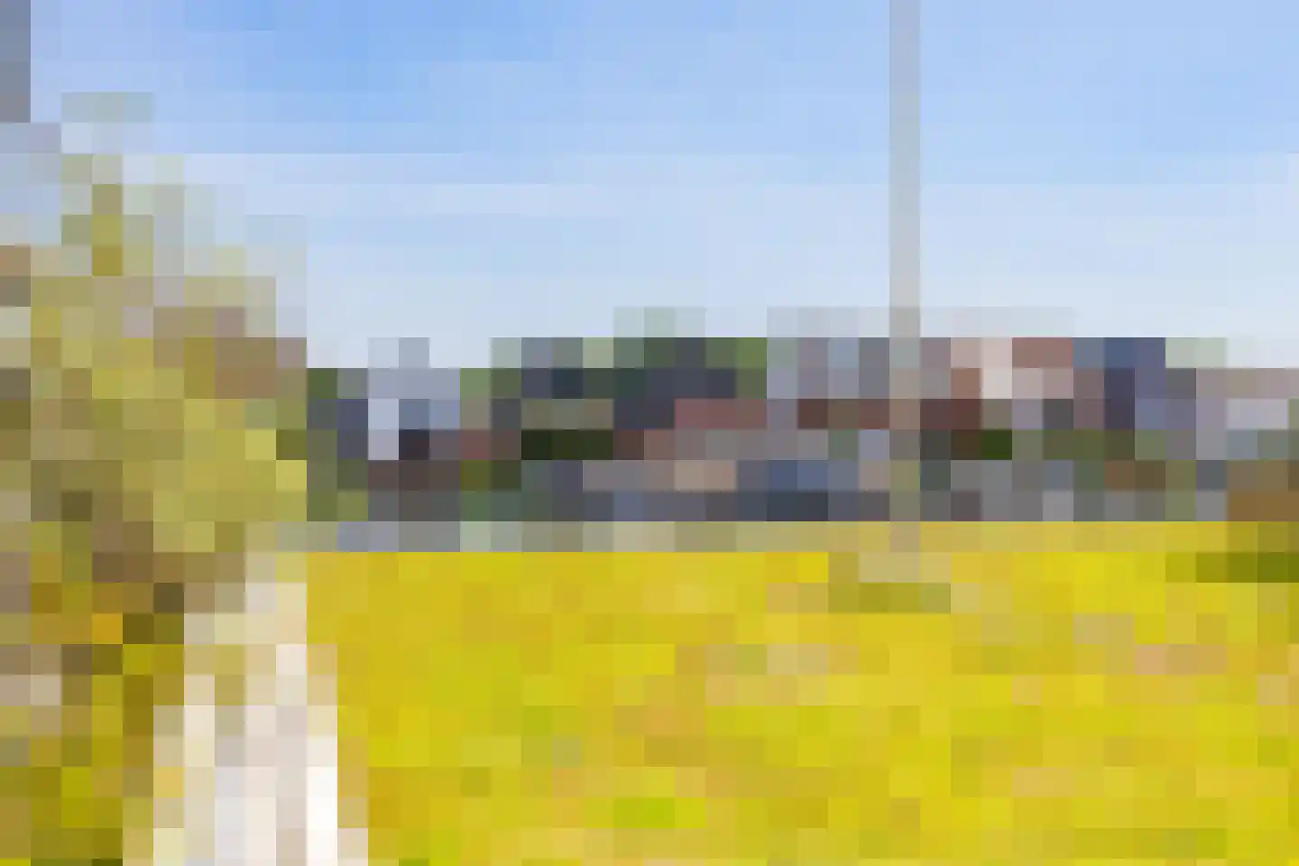 Piet Heinstraat 95 Lisse thumbnail 41