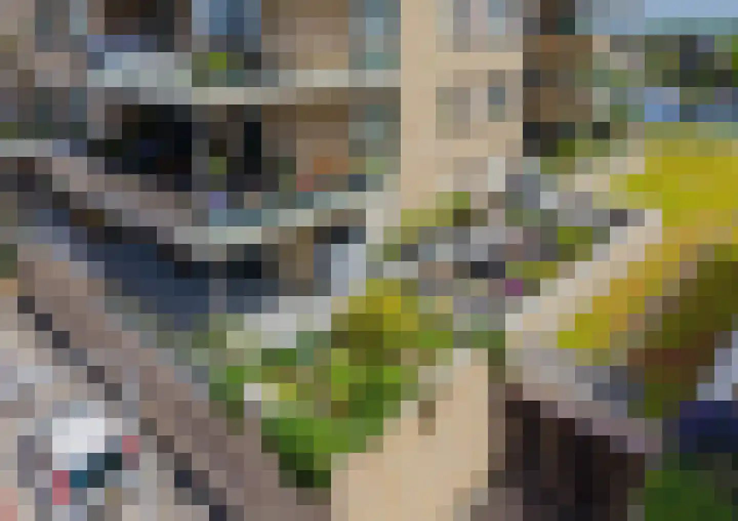 Piet Heinstraat 95 Lisse thumbnail 7