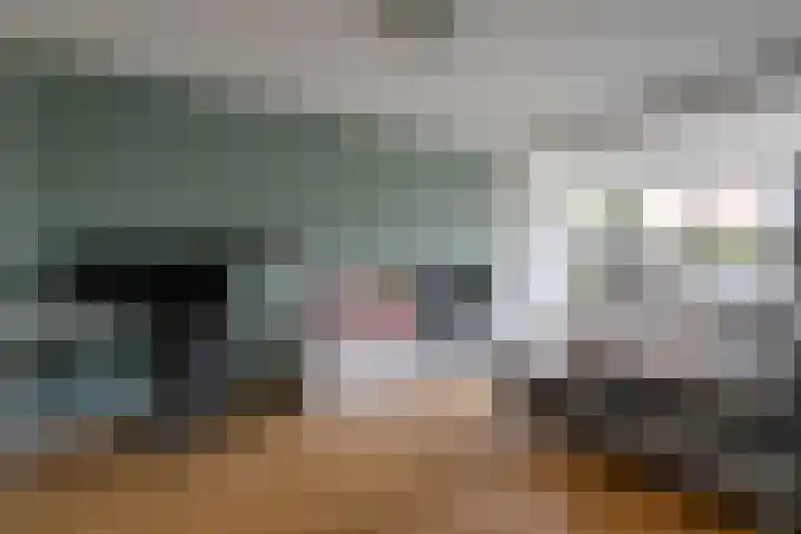 Piet Heynlaan 23 Woudenberg thumbnail 11