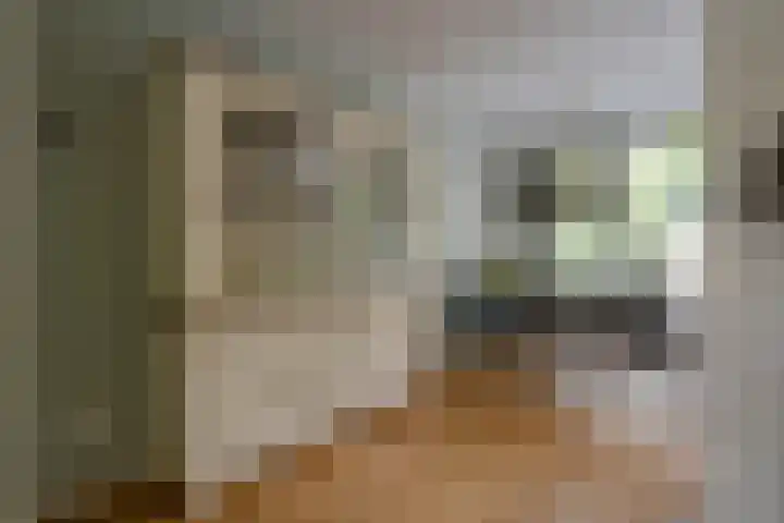 Piet Heynlaan 23 Woudenberg thumbnail 13