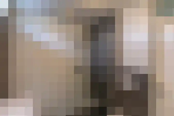 Piet Heynlaan 23 Woudenberg thumbnail 22