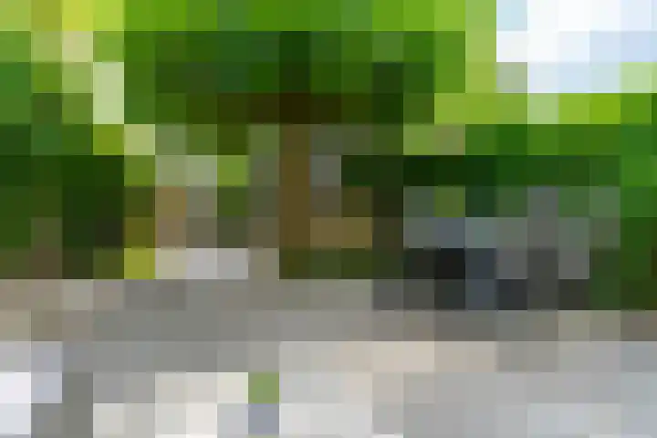 Piet Heynlaan 23 Woudenberg thumbnail 28
