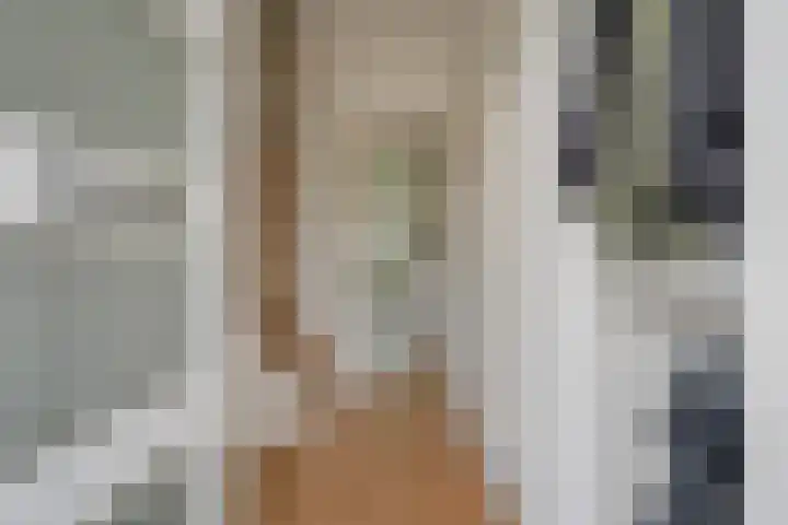 Piet Heynlaan 23 Woudenberg thumbnail 8