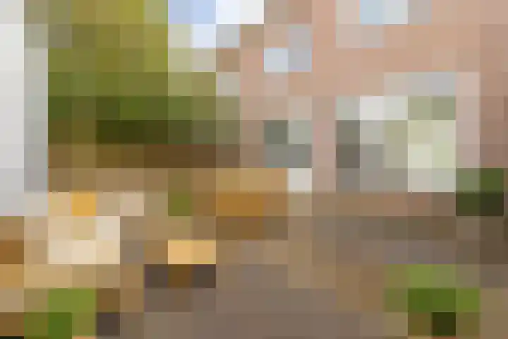Piet Heynlaan 3 Breda thumbnail 18
