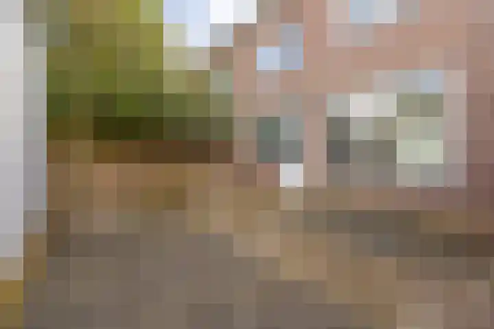 Piet Heynlaan 3 Breda thumbnail 19