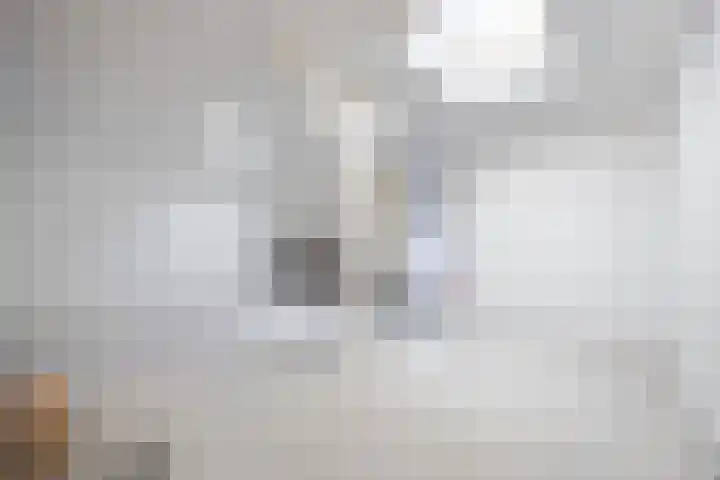 Piet Heynlaan 3 Breda thumbnail 23