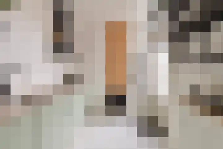 Piet Heynlaan 3 Breda thumbnail 27