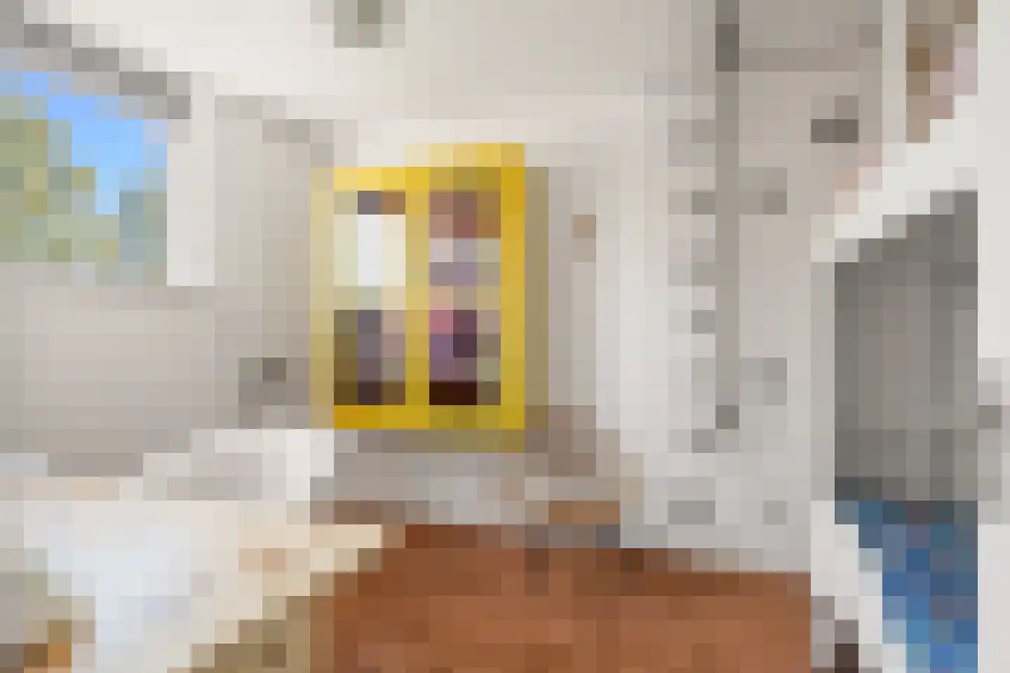 Piet Heynlaan 3 Breda thumbnail 31